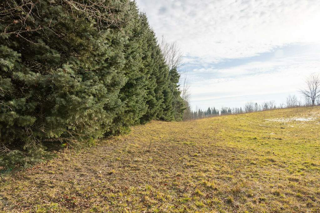 00 V/L N 176th St., Walkerville, MI 49459 MLS 23144452 properties SW Michigan