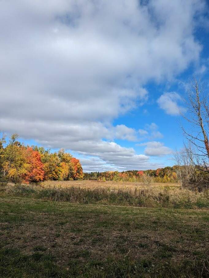 V/L 22 Mile County Line Road, Trufant, MI 49347 MLS 23144558