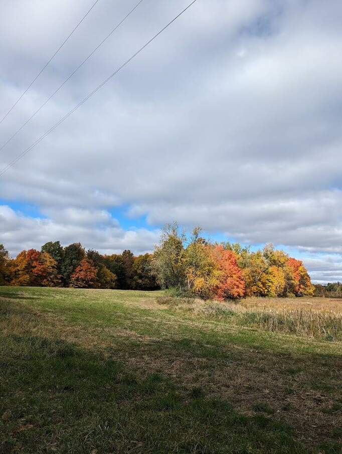 V/L 22 Mile County Line Road, Trufant, MI 49347 MLS 23144558