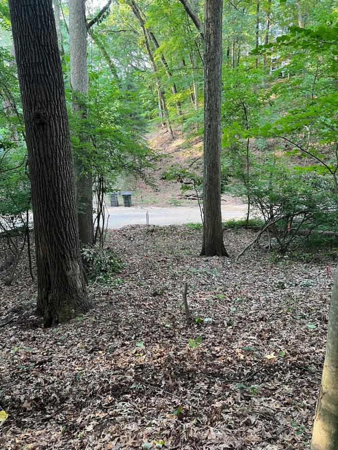 Avalon Trail, New Buffalo, MI 49117 MLS 23145121 properties SW