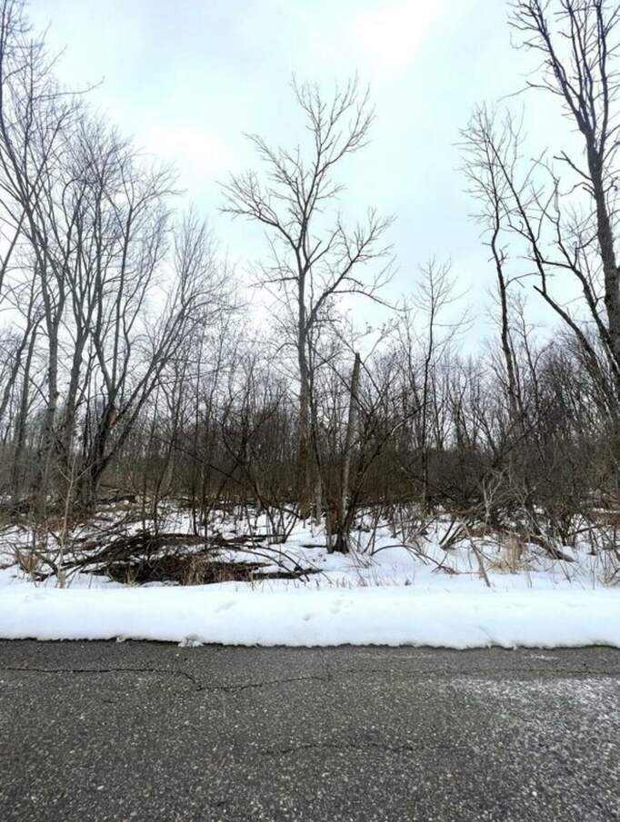 Maple Drive, Lakeview, MI 48850 MLS 23145468 properties SW Michigan