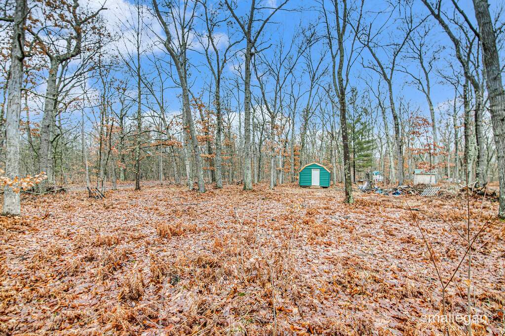 1000 Beechwood Boulevard, Bitely, MI 49309 MLS 23145970