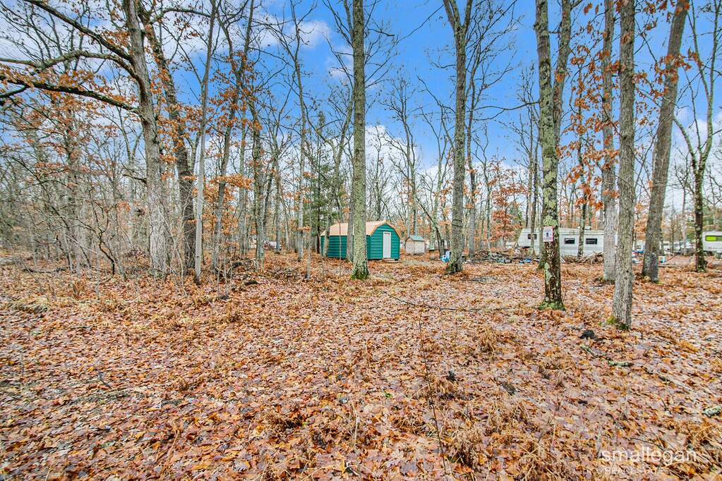 1000 Beechwood Boulevard, Bitely, MI 49309 MLS 23145970