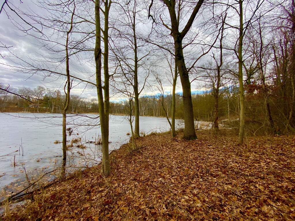 Munger Road Holly MI 48442 MLS 24003392 properties munger-road-holly-mi-48442-mls-24003392-properties
