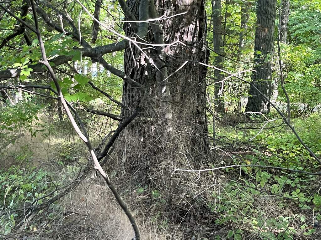 0 Crockery Woods Drive PARCEL K, Casnovia, MI 49318 MLS 24011700