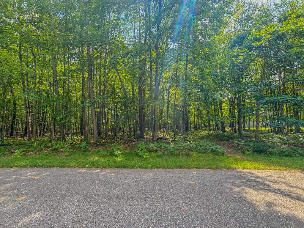 9385 Clubhouse Drive W, Canadian Lakes, MI 49346, Canadian Lakes