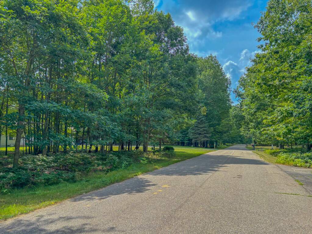 9385 Clubhouse Drive W, Canadian Lakes, MI 49346 - View 3