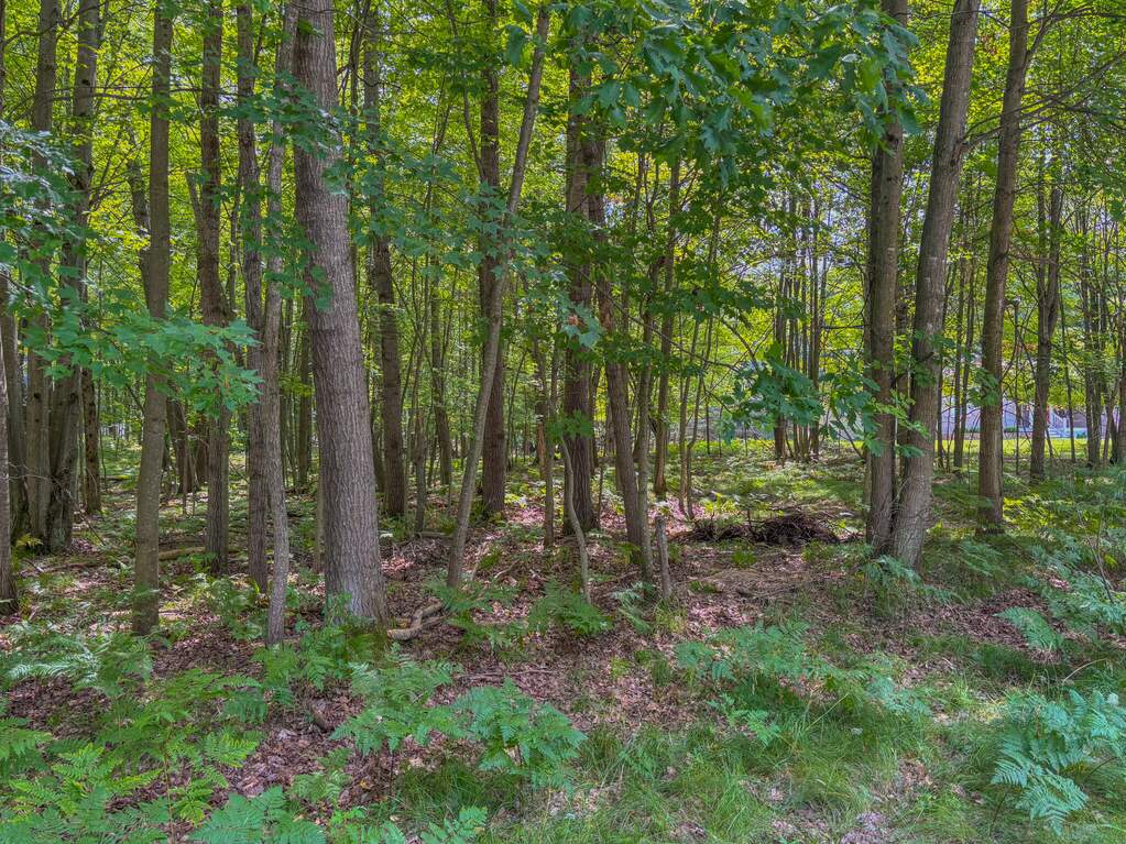 9385 Clubhouse Drive W, Canadian Lakes, MI 49346 - View 4