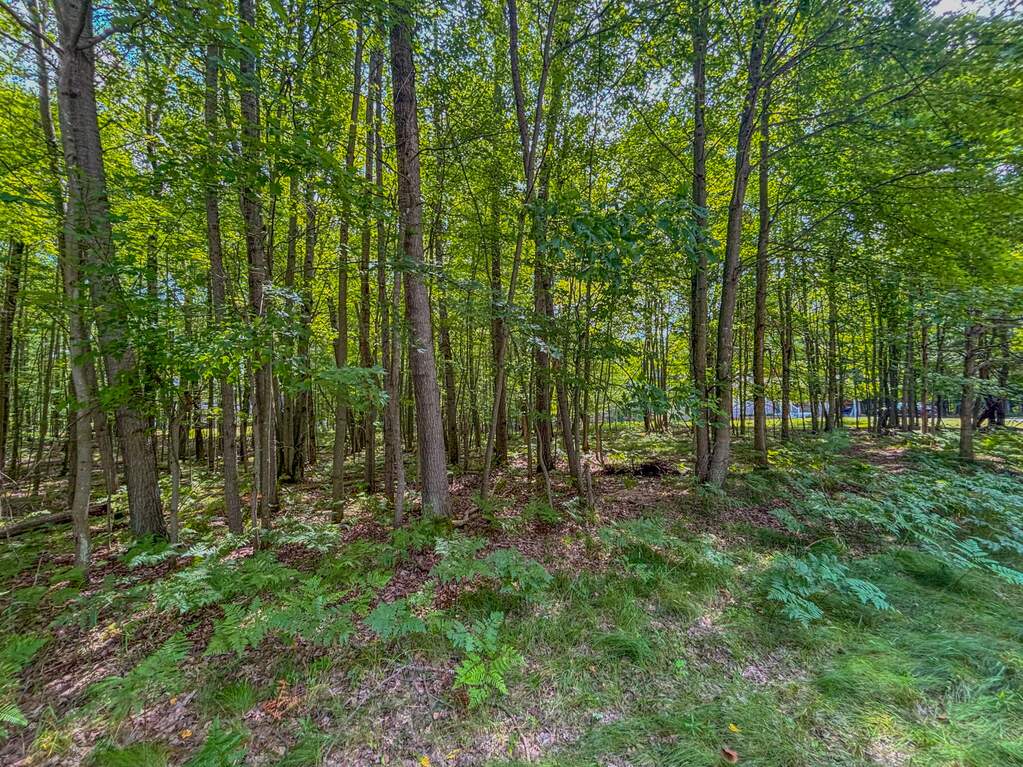 9385 Clubhouse Drive W, Canadian Lakes, MI 49346 - View 5