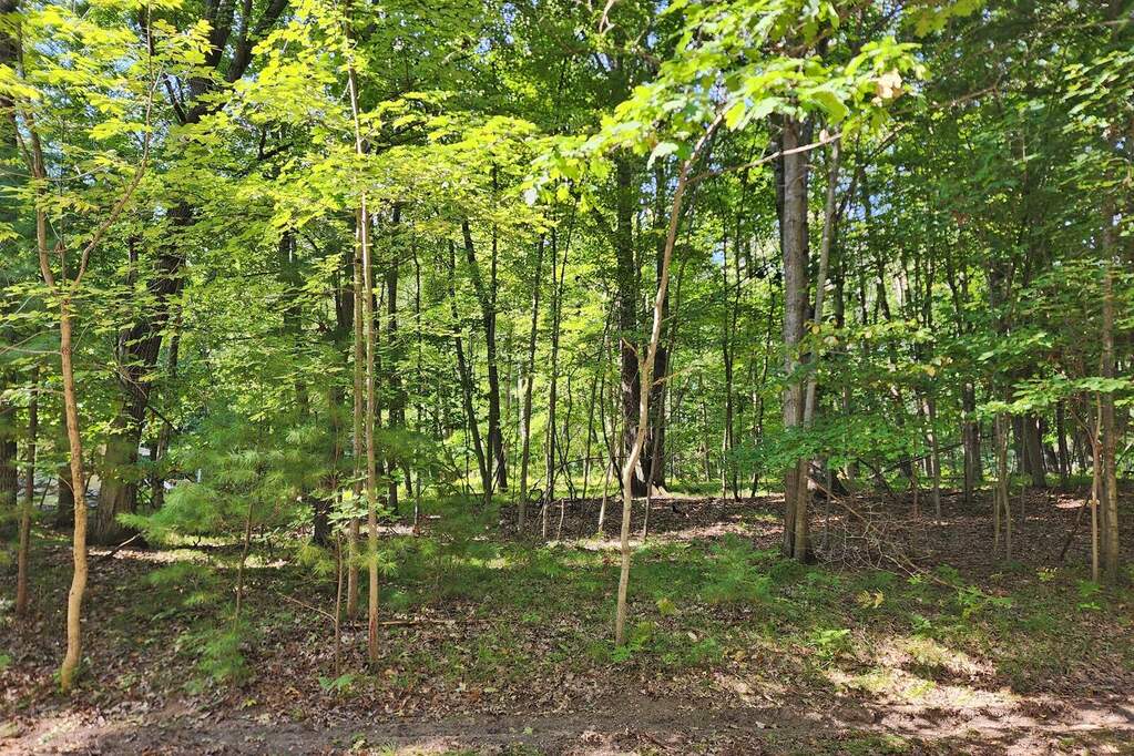 10933 Shawnee Trail #192, Stanwood, MI 49346, Stanwood