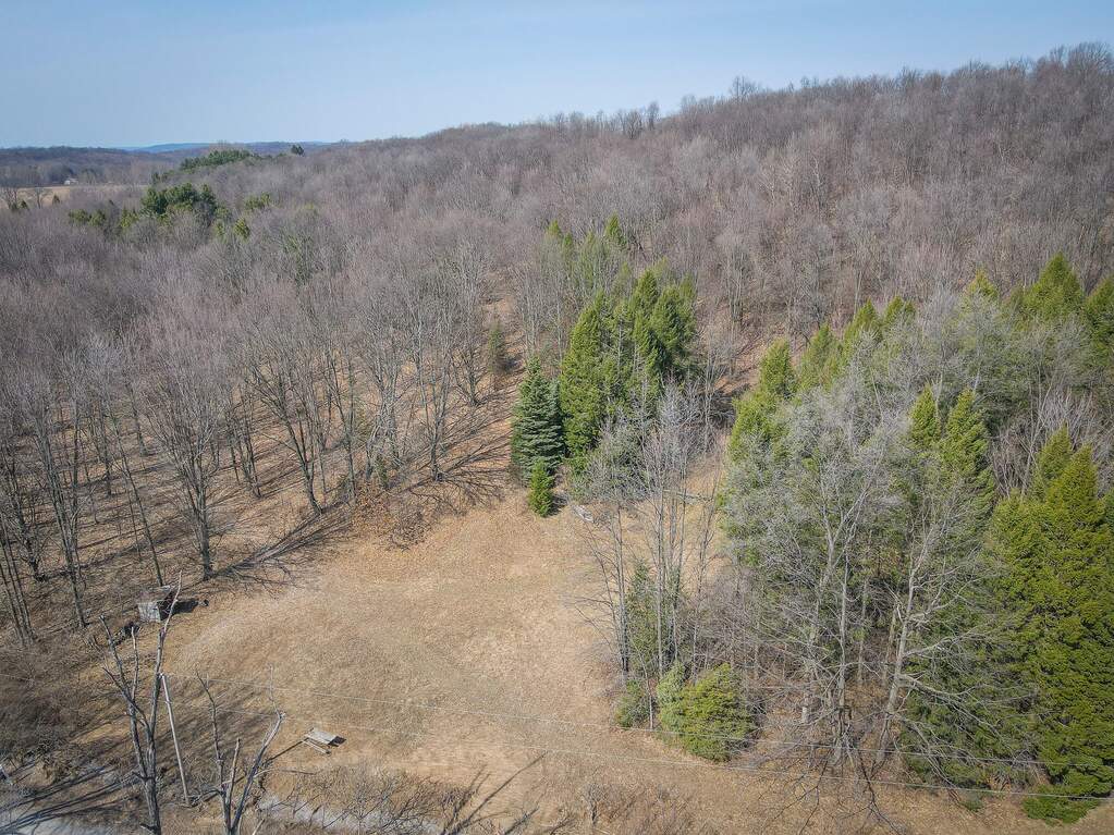 Parcel C W Grant Road, New Era, MI 49446 - View 2