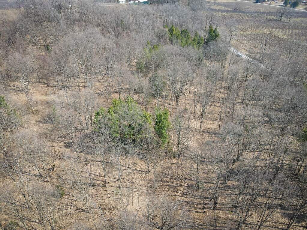 Parcel C W Grant Road, New Era, MI 49446 - View 3