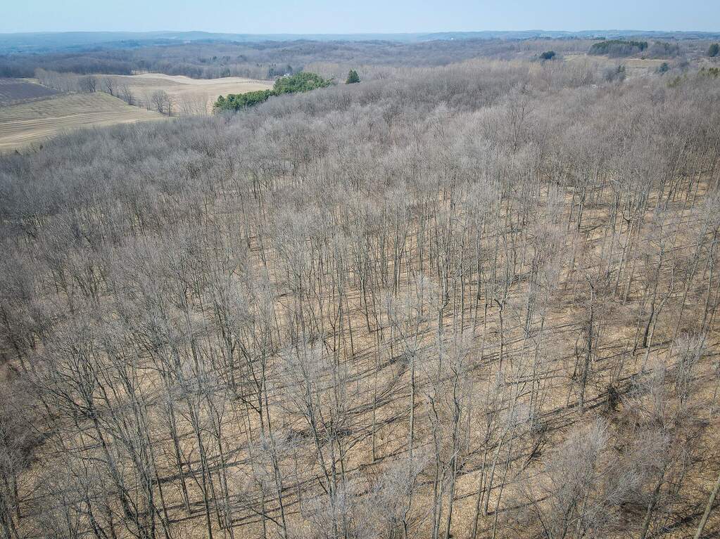 Parcel C W Grant Road, New Era, MI 49446 - View 4