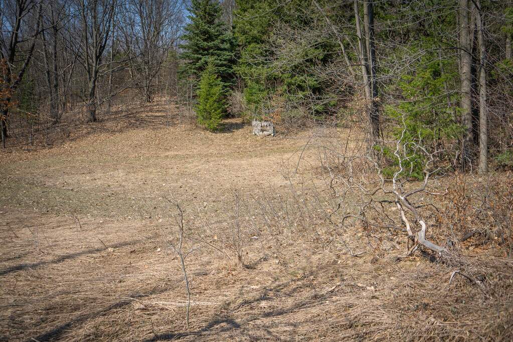 Parcel C W Grant Road, New Era, MI 49446 - View 6