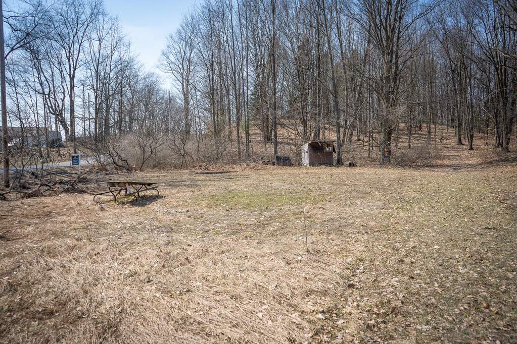 Parcel C W Grant Road, New Era, MI 49446 - More