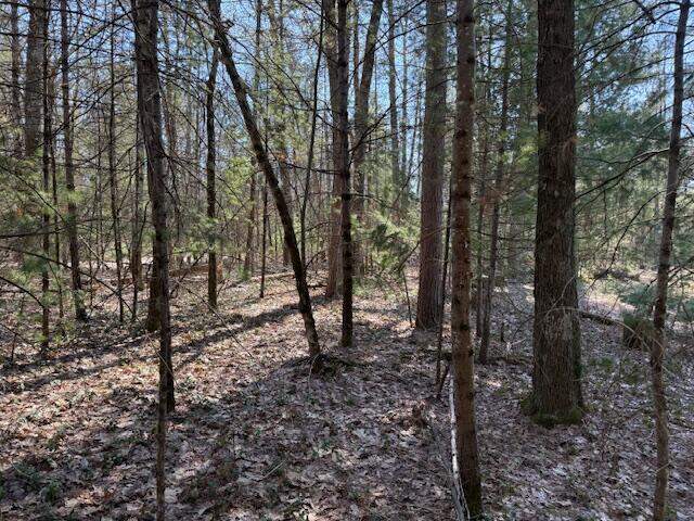 VL Lots 7-11 Pershing Road, Baldwin, MI 49304 - View 4