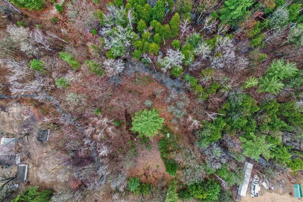 1652 S Whitney Road, Beaverton, MI 48612 - View 3