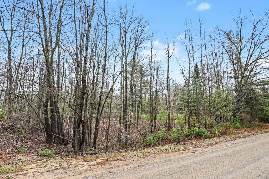 1652 S Whitney Road, Beaverton, MI 48612 - View 6