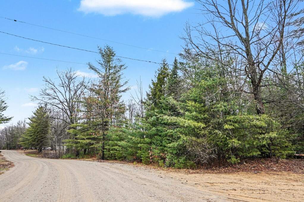 1652 S Whitney Road, Beaverton, MI 48612 - More