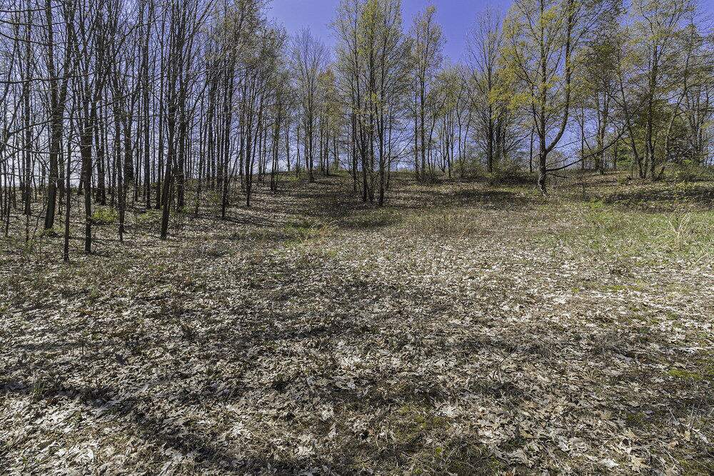 Lot 16 Campbell Lake Drive, Parma, MI 49269 - View 4