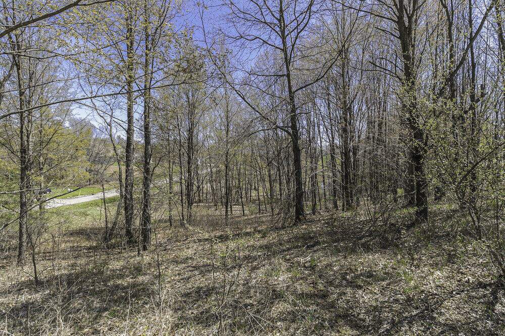 Lot 16 Campbell Lake Drive, Parma, MI 49269 - View 5