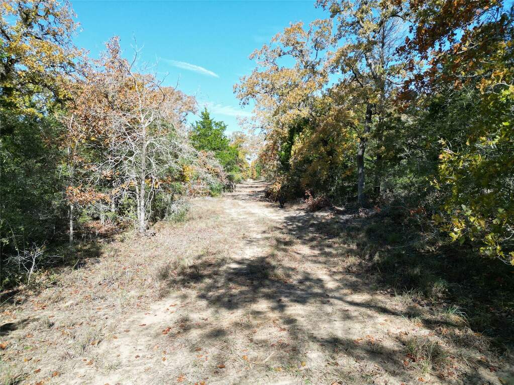 2156 Cr 306, Lexington, TX 78947 MLS 1413043 properties Dallas