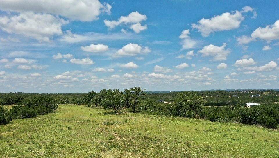 1005 Malbec Loop, Canyon Lake, TX 78133 MLS 1439396 properties Dallas