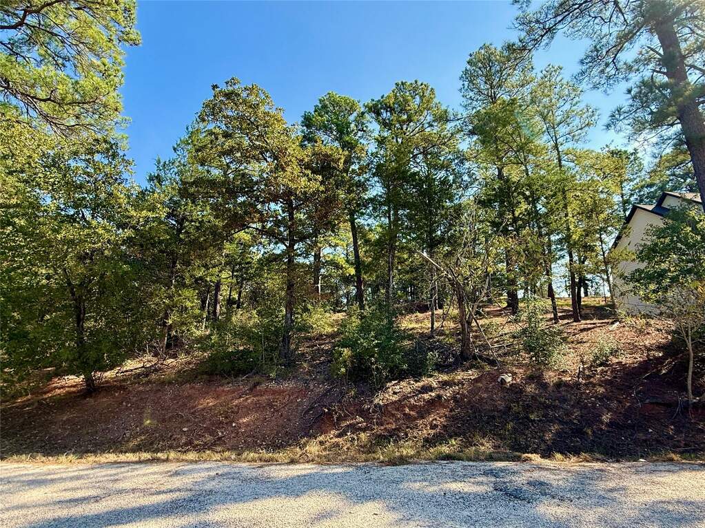 109 and 115 Olomana Ct, Bastrop, TX 78602, Bastrop