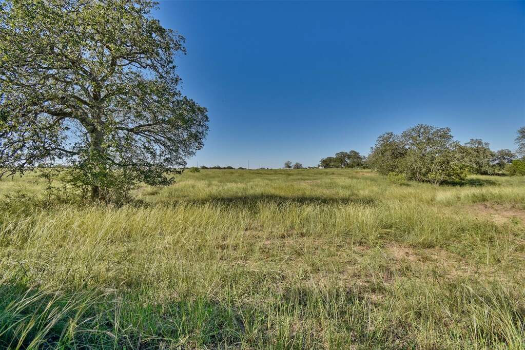 155 Starlight Path, Red Rock, TX 78662 MLS 1733229 properties