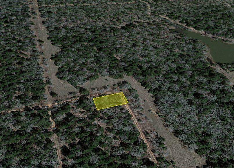 00 Pine St, Paige, TX 78659 MLS 1818966 properties Dallas