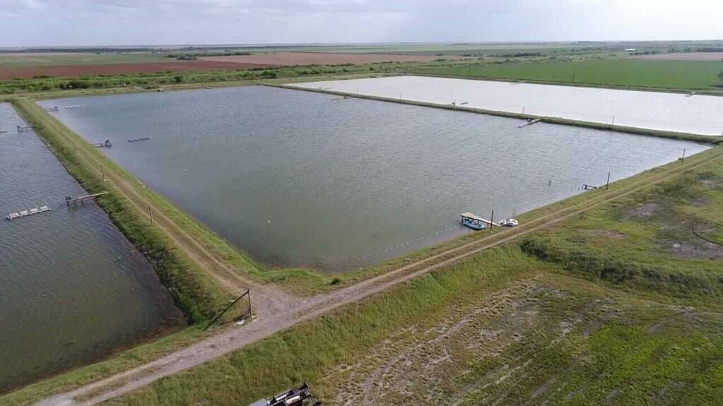 7979 Goyo Garcia Rd, Raymondville, TX 78580