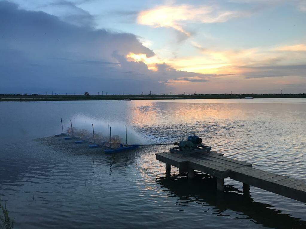 7979 Goyo Garcia Rd, Raymondville, TX 78580 - View 3
