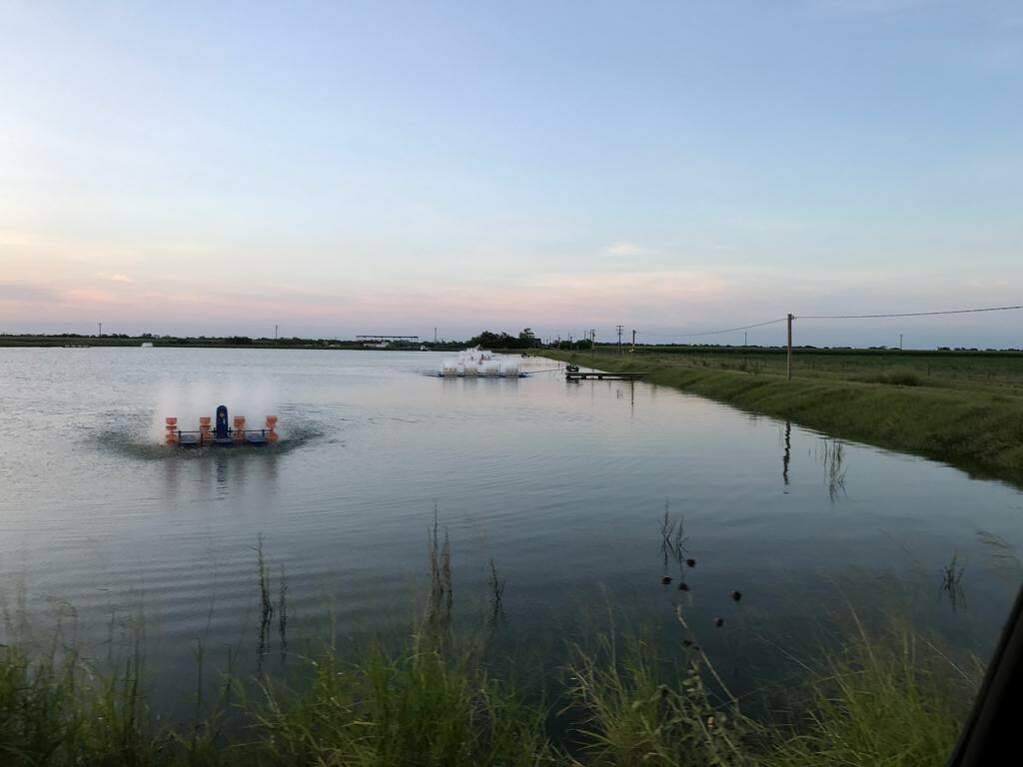 7979 Goyo Garcia Rd, Raymondville, TX 78580 - View 4