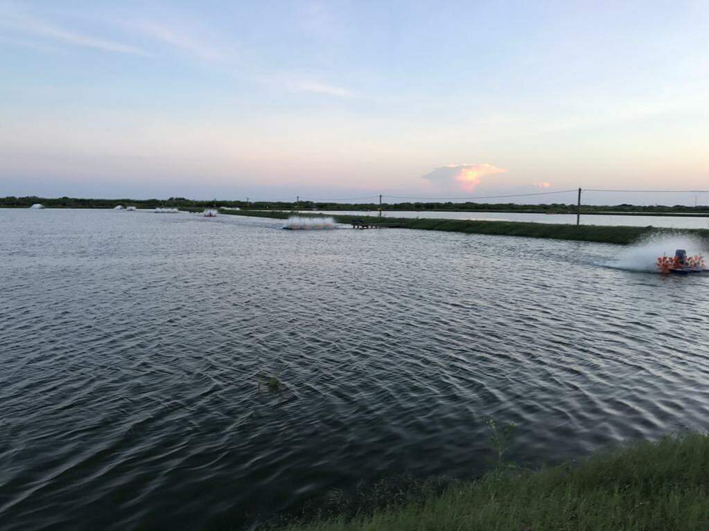 7979 Goyo Garcia Rd, Raymondville, TX 78580 - View 5