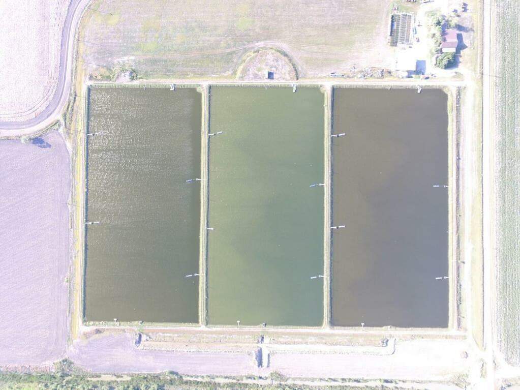 7979 Goyo Garcia Rd, Raymondville, TX 78580 - View 6
