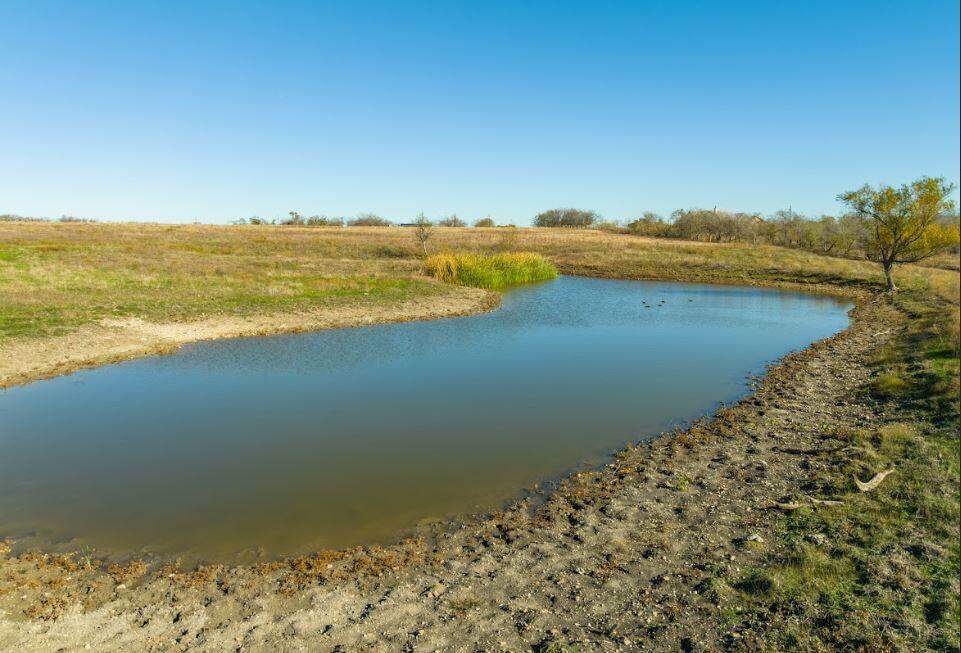 Tract 10 County Road 419, Taylor, TX 76574 - View 5