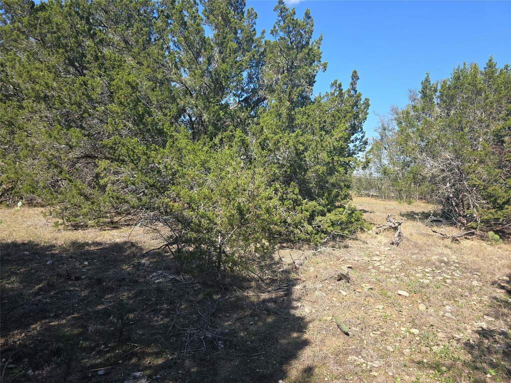 150 Blessing Ranch Rd, Liberty Hill, TX 78642 | MLS# 2369572 ...