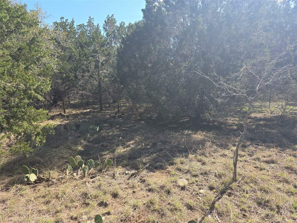 150 Blessing Ranch Rd, Liberty Hill, TX 78642 | MLS# 2369572 ...