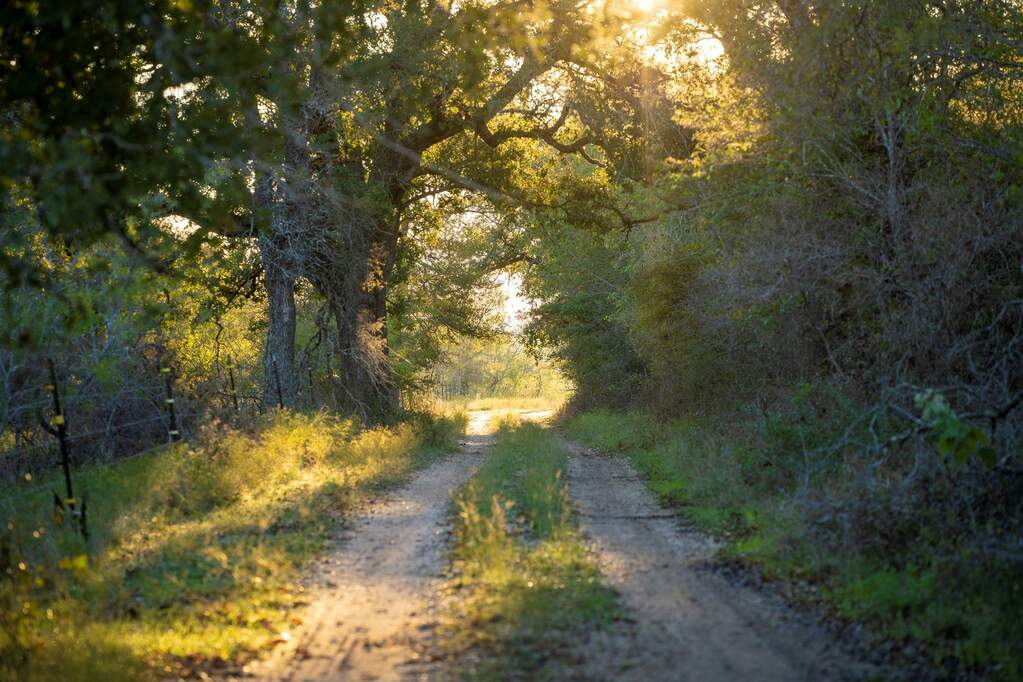 TBD Fm 1600, Cameron, TX 76520 MLS 3591053 properties Dallas