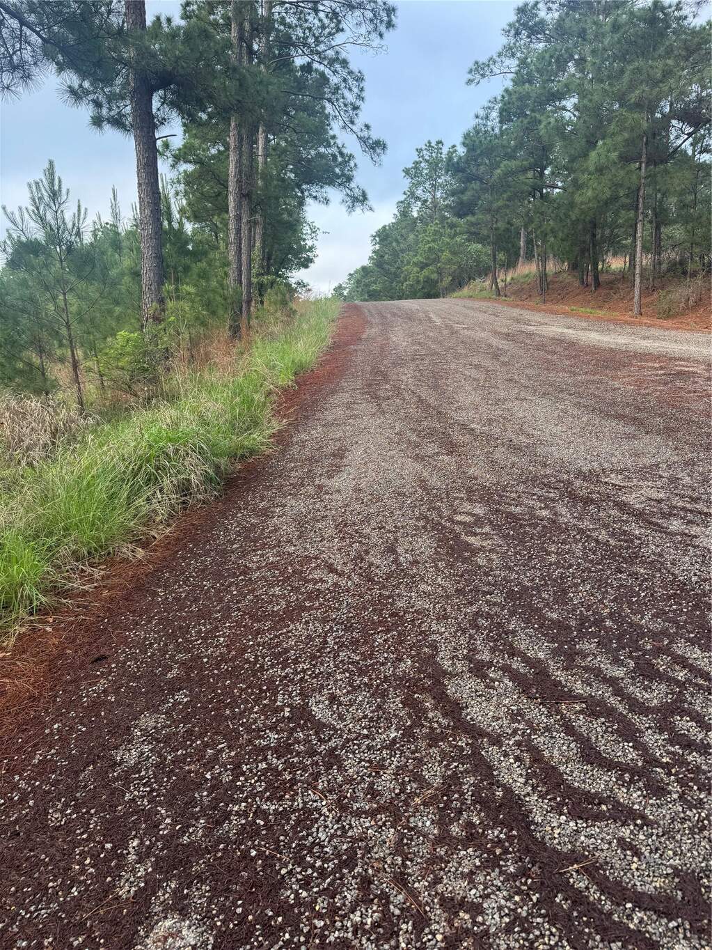 Lot 1491 Haleakala, Bastrop, TX 78602, Bastrop