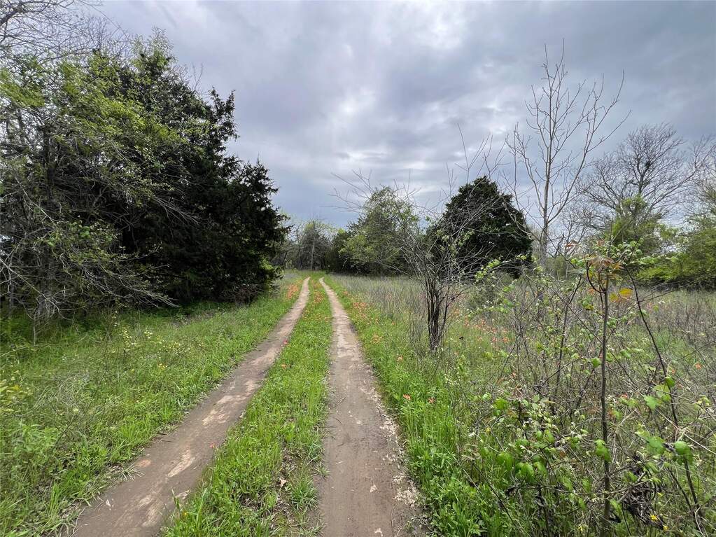 0B Fm 86, Red Rock, TX 78662, Red Rock