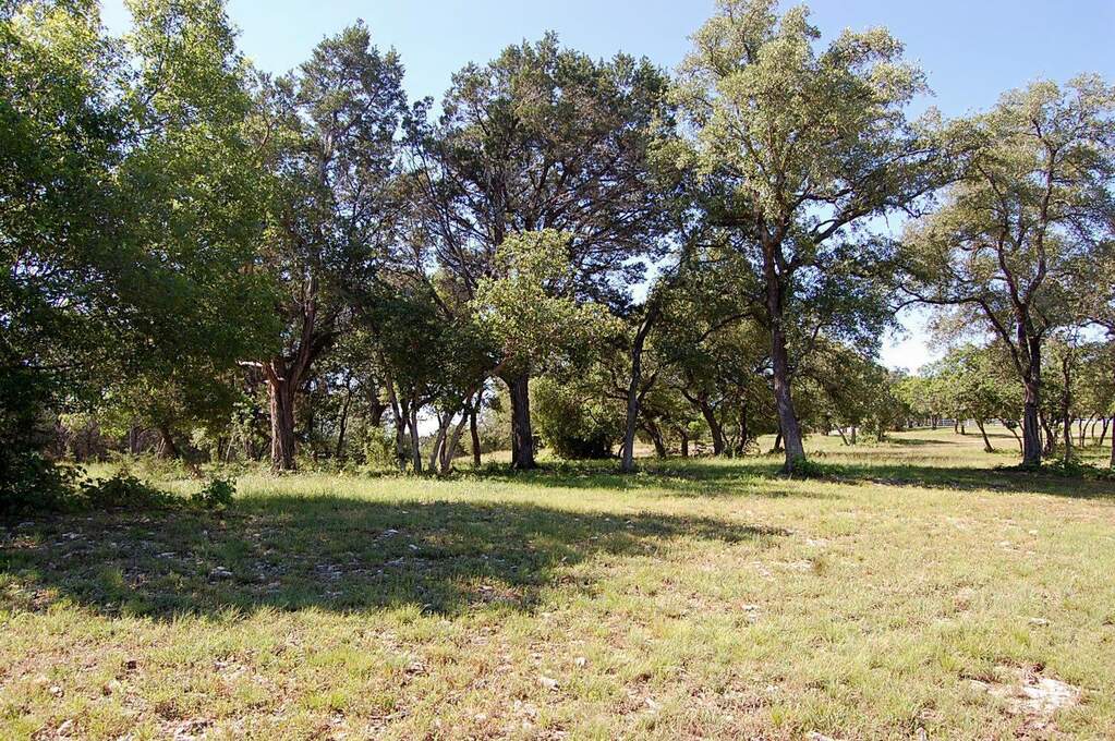 0 Rio Gabriel, Liberty Hill, TX 78642, Liberty Hill