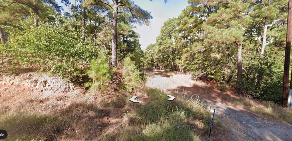 1188 Tahitian Village, Bastrop, TX 78602 - View 3