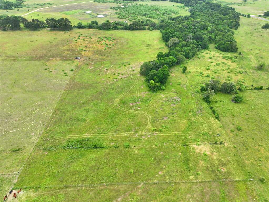 1450 Cattlemens Row, Lockhart, TX 78644 MLS 7719673 properties