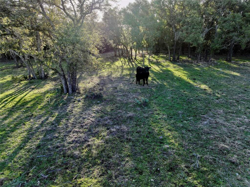 Lot 12 Shin Oak Dr, Lampasas, TX 76550 MLS 9832392 properties Dallas