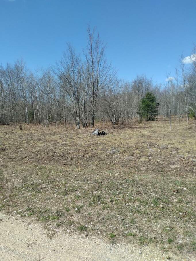 Lot 34 Fallbrook Court, Mancelona, MI 49659 MLS 201829016