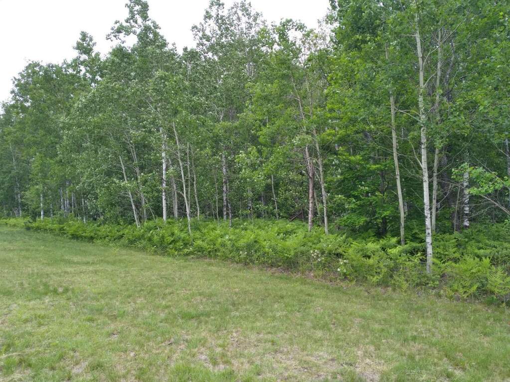 Lot 123 Montrose Drive, Mancelona, MI 49659 MLS 201830012