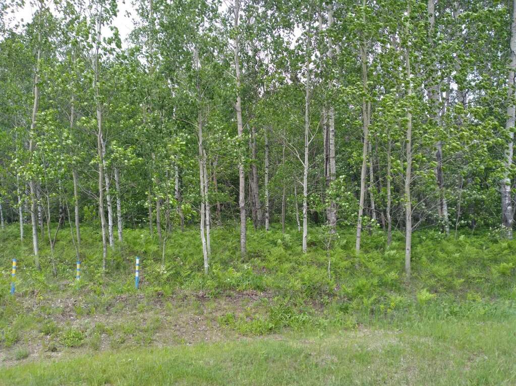 Lot 123 Montrose Drive, Mancelona, MI 49659 MLS 201830012