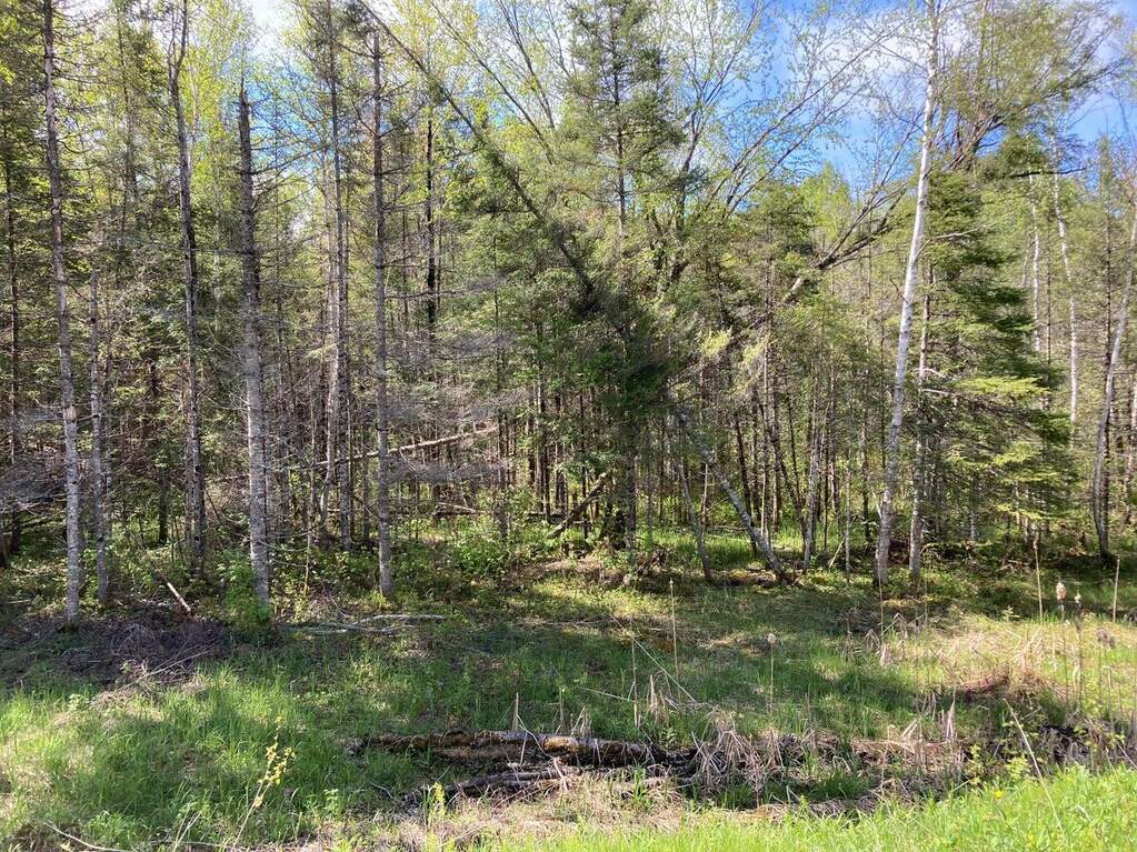 (Address confidential), Pickford, Michigan 49774 MLS 201830282 properties REMI Christie's