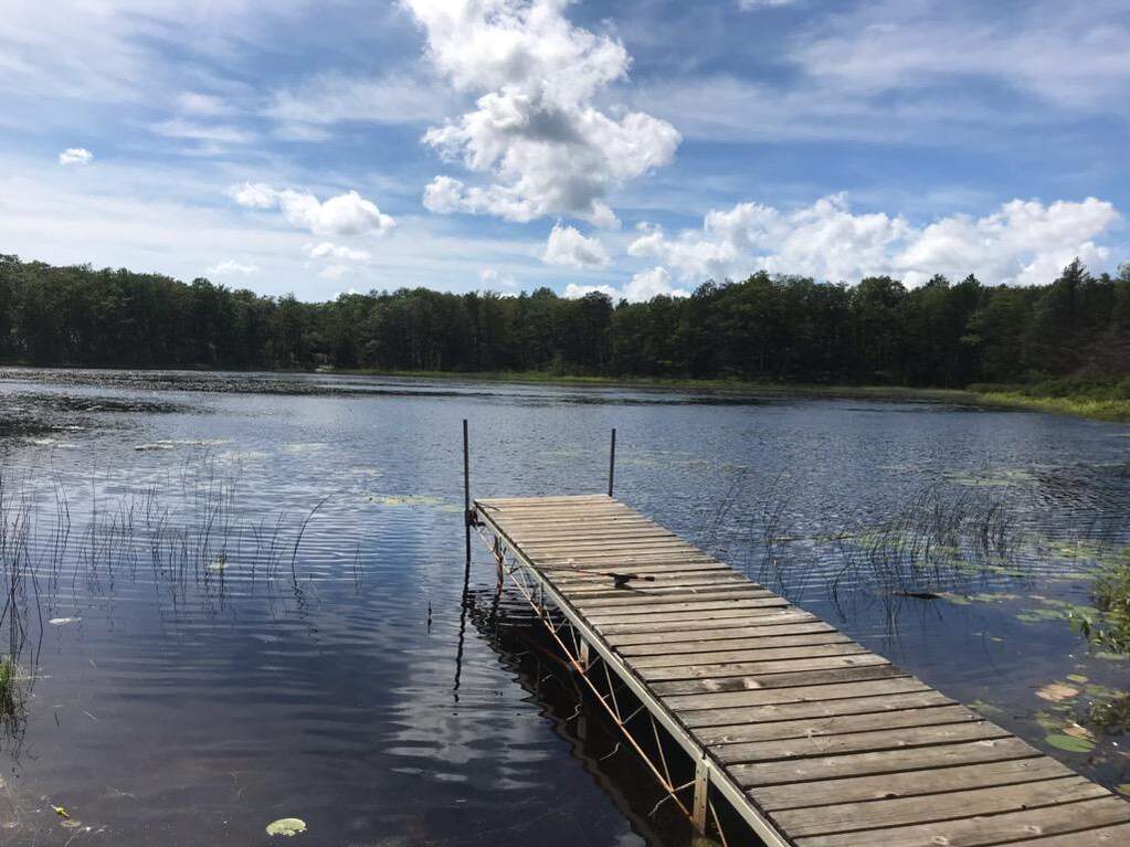 148 + 149 Chippewa Trail #142-150-000-091-00, Rogers City, MI 49779, Rogers City